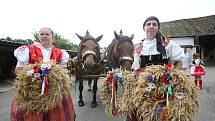 Baráčníci z Boršova letos pozvali na dožínky 16 povozů s koňmi. Ty se sem sjeli z celých jižních Čech a vyšperkovali tak tradiční vesnickou slavnost.