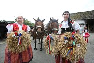 Baráčníci z Boršova letos pozvali na dožínky 16 povozů s koňmi. Ty se sem sjeli z celých jižních Čech a vyšperkovali tak tradiční vesnickou slavnost.