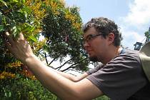 Martin Volf při sběru vzorků v korunách stromů z výzkumného jeřábu v Panamě.