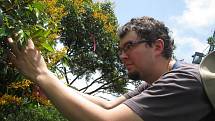 Martin Volf při sběru vzorků v korunách stromů z výzkumného jeřábu v Panamě.