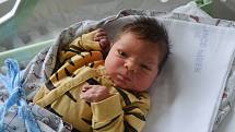 Daniel Němec ze Sedlce-Prčice. Syn Michaely Vanišové a Josefa Němce se narodil 8. 9. 2022 ve 12.41 hodin. Při narození vážil 3450 g a měřil 51 cm. Doma na brášku čekala Emma (2).