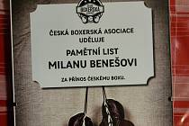 Ocenění pro Milana Beneše