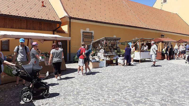 Borůvkobraní v menším neboli Borůvkobraníčko přilákalo v sobotu do areálu borovanského kláštera stovky lidí.