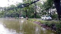 Déšť 28. června 2020 zvedl hladinu i v Dubenském rybníku u Dubného na Českobudějovicku.