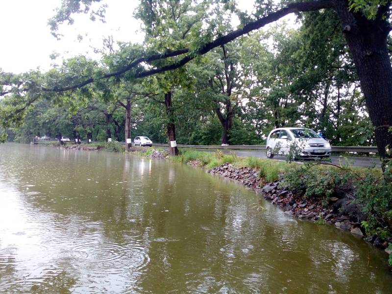 Déšť 28. června 2020 zvedl hladinu i v Dubenském rybníku u Dubného na Českobudějovicku.