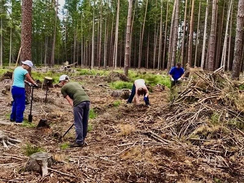 Libor Moravec z Českých Budějovic na konci roku 2019 založil iniciativu Obnovme jihočeské lesy. Na sociální síti měla obrovský ohlas a od jara 2020 dosud dobrovolníci vysázeli na 50 tisíc stromků.