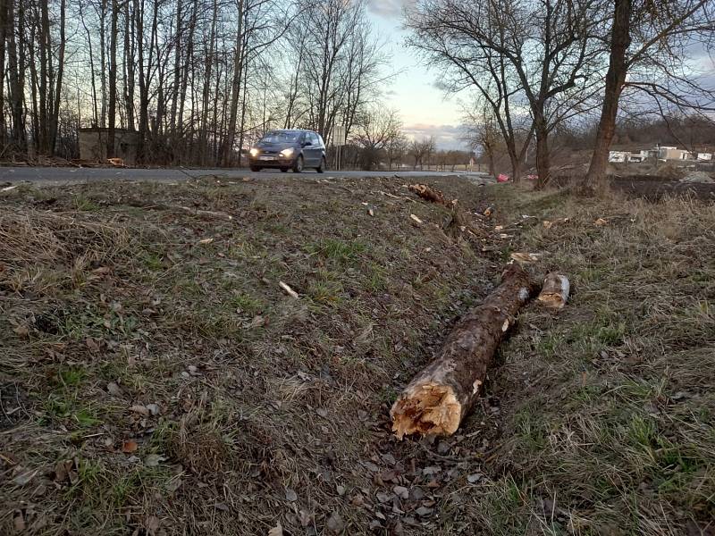 Vítr v neděli dopoledne 30. ledna 2022 na jihu Čech komplikoval například dopravu. Mezi Municemi a Hlubokou nad Vltavou vyvrátil na silnici strom, který odklidili hasiči.