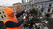Zdobení vánočního stromu v Českých Budějovicích