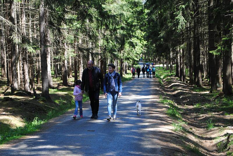 Helfenburk je zřícenina hradu asi 5,5 kilometru od Bavorova