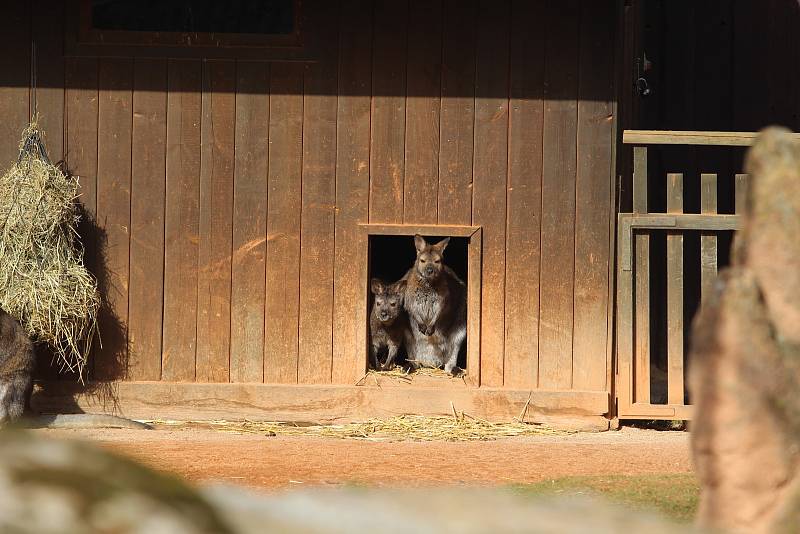 Obyvatelé (a pracovníci) ZOO Ohrada.