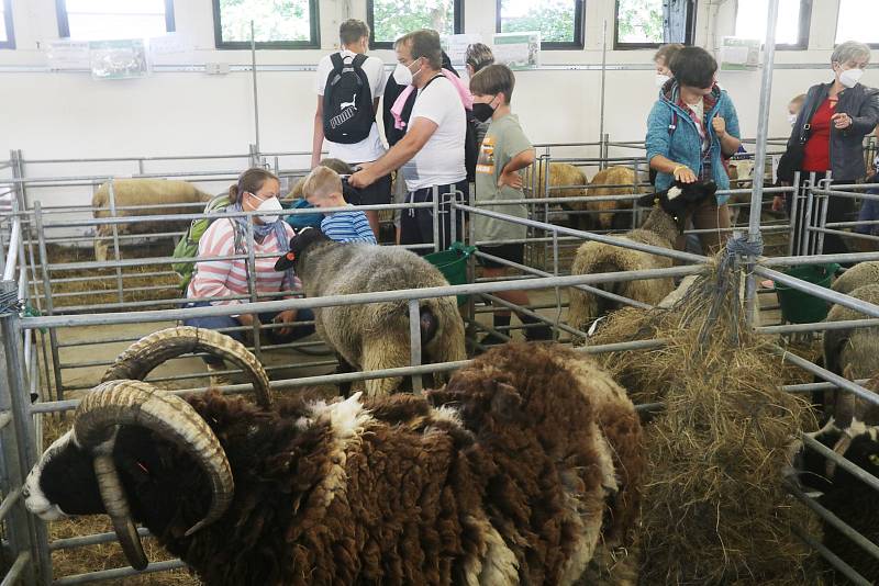 Agrosalon Země živitelka se chýlí ke svému konci, kolorit vystavovatelů je určen nejen odborníkům, užívá si ho široká veřejnost včetně těch nejmenších.