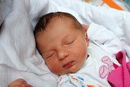 České Budějovice budou domovem novorozené Amélie Novákové. Maminka Dominika Jarošová ji porodila 19. 11. 2018 ve 13.58 h., vážila 3,07 kg.