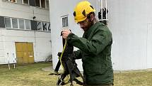 Ornitolog Václav Beran se připravuje na výstup na stometrový ventilační komín Jaderné elektrárny Temelín.