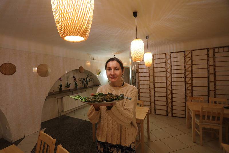 Nová vietnamská restaurace Bambus na českobudějovickém náměstí místo známého bufetu.