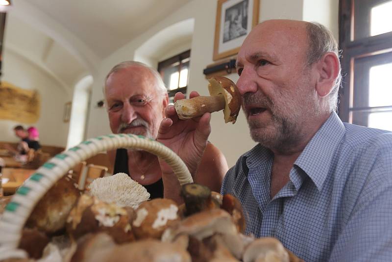 První houby v Českých Budějovicích si prohlíží od svého známého Klára Čtveráčková a Denisa Zlatarich a také Josef Honner.