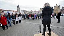 Českobudějovičtí středoškoláci se připojili k celosvětovému studentskému demonstrování za to, aby se politici více starali o zdraví naší planety.