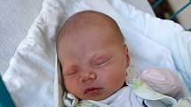 Johana Pokorná se v českobudějovické nemocnici narodila 30. 9. 2017 ve 22.48 h. Po narození vážila 3,24 kilogramu. Johančiným domovem jsou Borovany.
