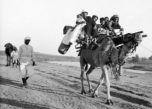 Jižní Palestina, jeden ze snímků, které vystavuje táborské Muzeum fotografie Šechtl a Voseček. Poutníci na cestě do Nabi Rubin. Šest žen a dětí s tábornickým vybavením na velbloudovi. Muslimové věří, že svatyně Nabi Rubin je hrob proroka Reubena.