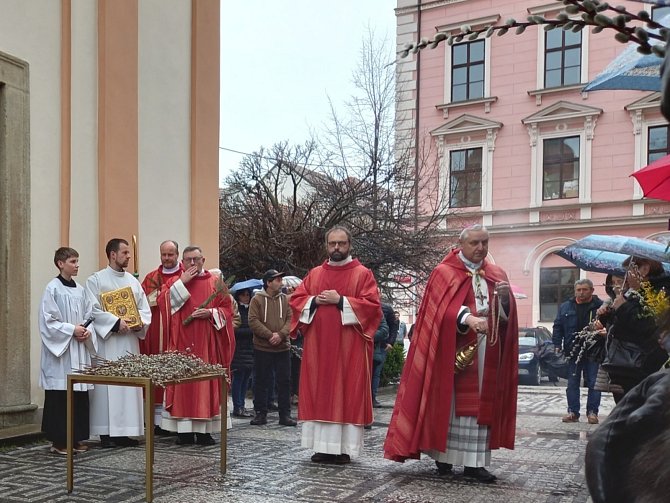 Na Květnou neděli se konalo u českobudějovické katedrály sv. Mikuláše (u kaple Smrtelných úzkostí Páně) tradiční žehnání kočiček i berana.