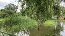 Rybník museli o víkendu po páteční večerní bouřce s přívalovým lijákem upouštět v Branišovicích na Brněnsku. Voda z potoka pak zalila zahrady.