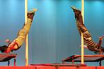 V premiéře do Brna zavítal Čínský národní cirkus, který divákům v městské hale ve Vodově ulici představil akrobatickou show Feng Shui: Životní harmonie.