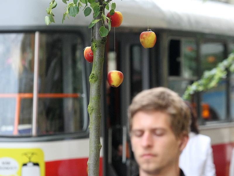 Zaměstnanci brněnské Newton College rozvěsili v brněnské Rašínově ulici jablka.