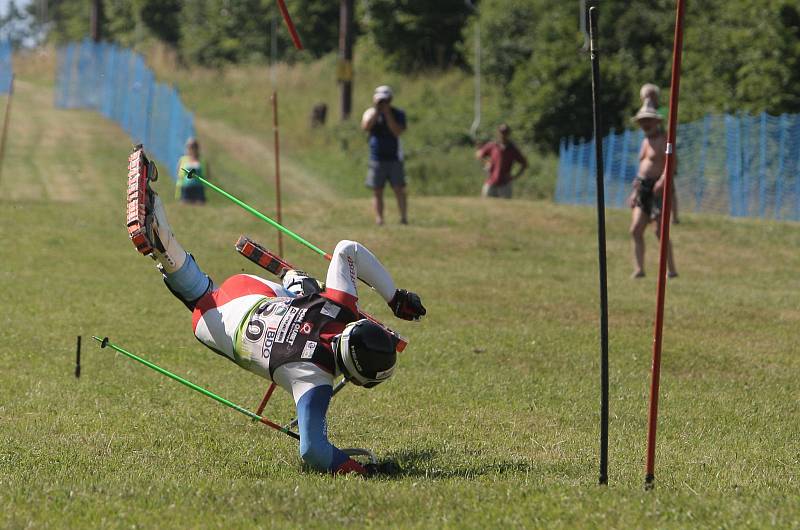 Světový pohár travních lyžařů v Předklášteří u Tišnova.