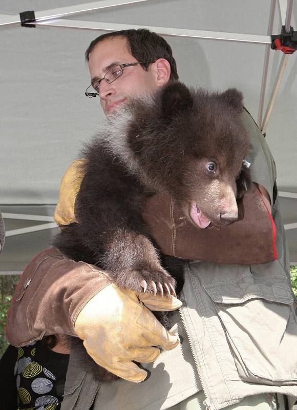 V brněnské zoo slavnostně pokřtili mláďata medvěda kamčatského. Lidé jim vybrali jména Kuba a Toby.