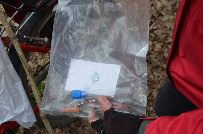 Bioložka Alena Žákovská ve čtvrtek nasbírala dvaatřicet klíšťat u cesty v lese za Anthroposem.