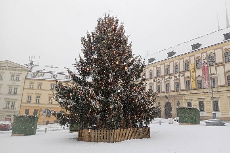 Centrum Brna zasypal sníh. Na snímku vánoční strom na Zelném trhu.