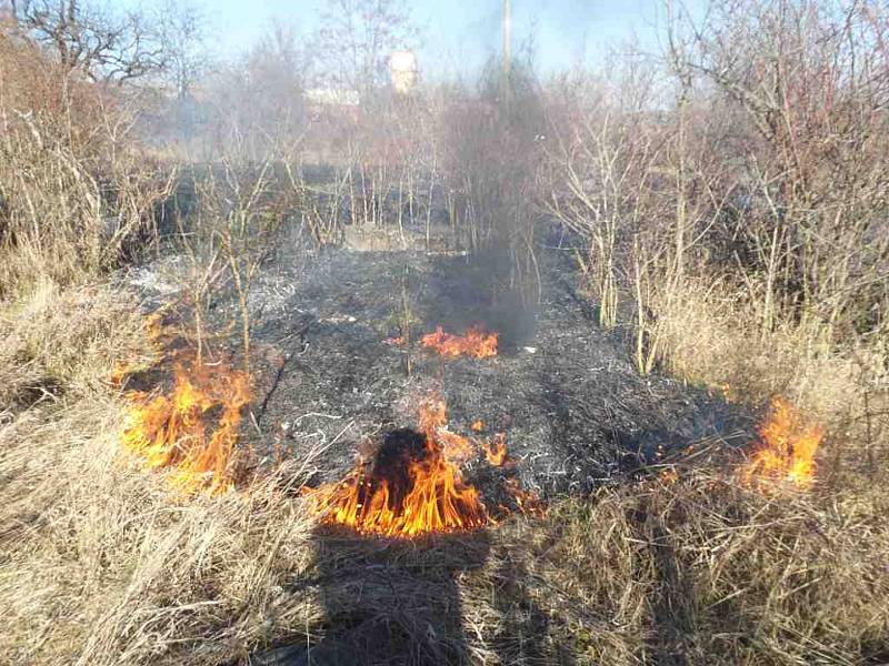 Hasiči v jednom ohni. Požáry trávy a porostů jsou letos rekordní. Na snímcích pondělní zásahy na jihu Moravy.