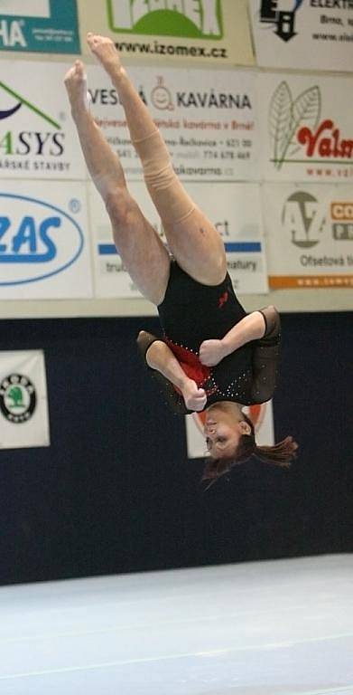 Sportovní gymnastka Palešová.