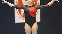 Sportovní gymnastka Palešová.