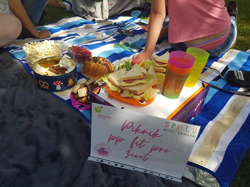 Akce Česko jde spolu na piknik vyzvala lidi z různých míst naší země, aby pořádali ve stejný čas piknik. Na snímku akce v Ústí nad Labem.