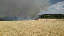 U Bosonoh lehlo popelem devět hektarů pole
