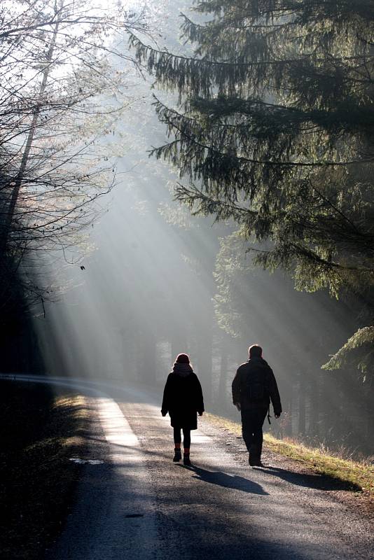 Šestačtyřicátý ročník výstupu na Babí lom nedaleko Brna. Turisté si vyšli na Nový rok.