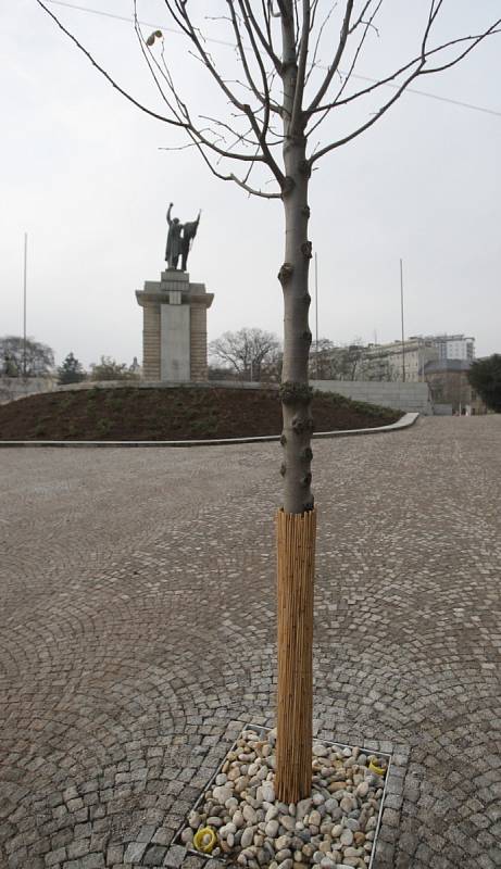 Zrekonstruovaný park na Moravském náměstí a u Janáčkova divadla.