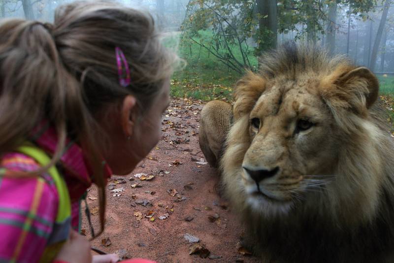 Brněnská zoologická zahrada.