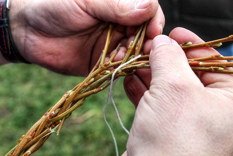 ÚHLEDNĚ. Pruty v jejich křížení je nutné průběžně stahovat a vyrovnávat. Ovšem s citem, jinak se mohou zlomit. Mezi čtveřice proutků se vloží provázek. „Je výhodné ho ještě trochu zaplést, aby při mrskání nevyjel,“ upozorňuje odborník.