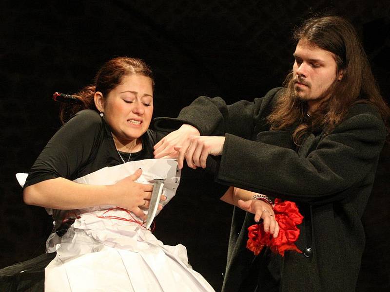 Inscenovanou poezii členů Studia Dům aneb Texapeal na nože v pátek pod názvem Rokřik divákům poprvé představí režisérka Eva Tálská.