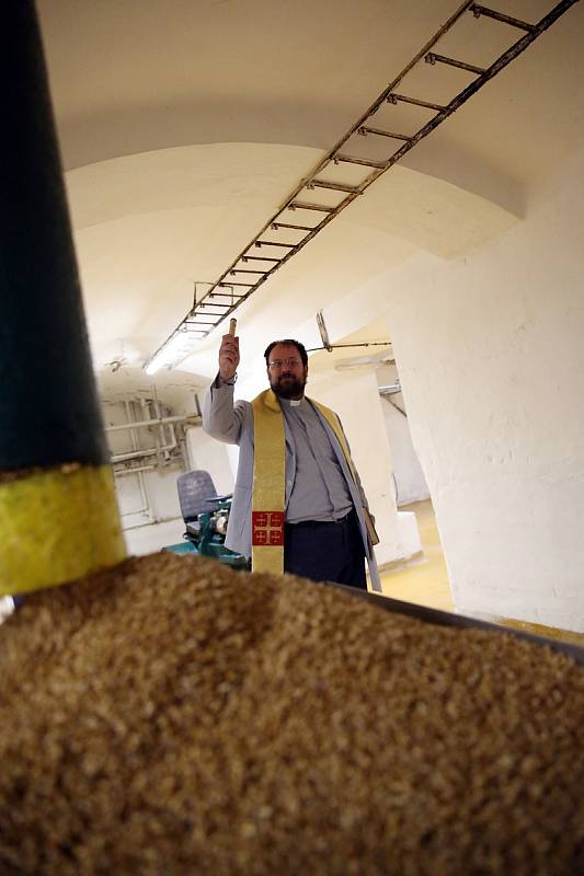 V pivovaru Bernard v Rajhradě používají speciální techniku klíčení sladového ječmene.