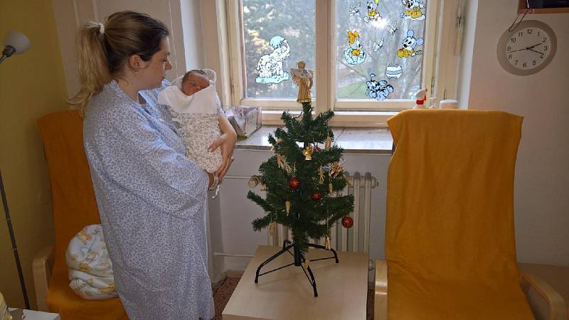 S novorozeňaty pracuje třiapadesátiletá Pavla Opálková z Neonatologického oddělení Fakultní nemocnice Brno celý život.