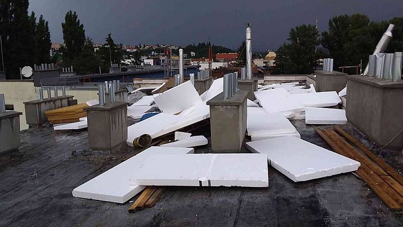 Na jihu Moravy při úterních bouřkách padaly stromy. Některé domácnosti zůstaly bez proudu.