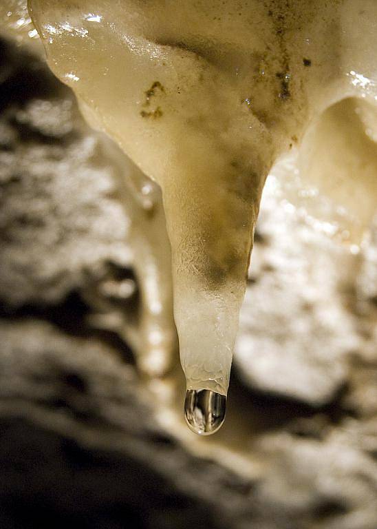 Krasový jev v jeskyni, prvotní stádium stalaktitu.