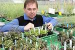 Projekt Remes, který do Brna z Anglie přinesl Karel Říha má za cíl odhalit procesy, které řídí rozmnožování rostlin.