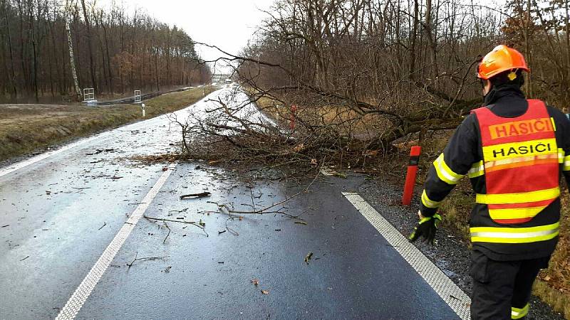 Hasiči se vypořádávají s následky orkánu Sabine na jižní Moravě.