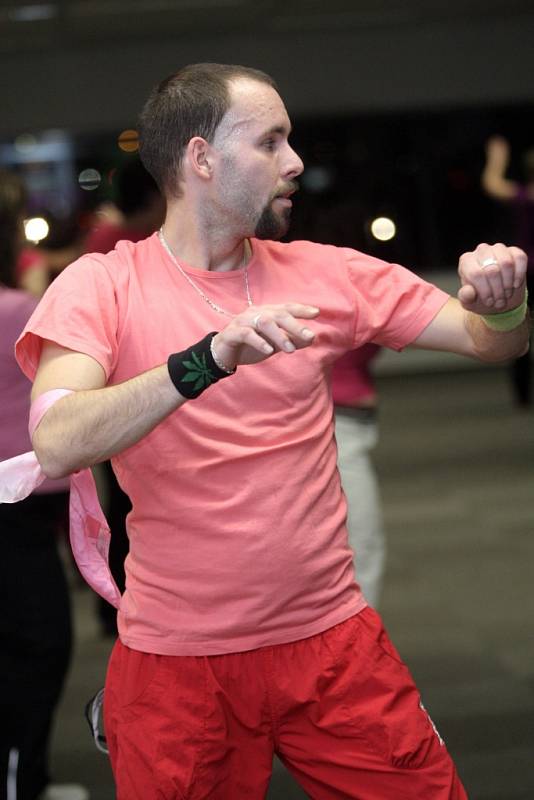 Tříhodinový maraton zumby Zumbathon in Pink hostilo brněnské Spielberk Office Centre.