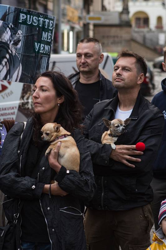 Cirkus je přežitek, neplaťte za ponižování zvířat, vyzývali ve středu na náměstí Svobody ochránci zvířat.