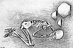 Součástí pohřebiště v přírodní rezervaci Člupy na Vyškovsku byl zajímavý hrob. Archeologu Miroslavu Chleborádovi jej pomohl objevit lesní ředitel Emil Kolíbal z nedalekých Bučovic. V hrobu byly nádoby a šperky. 