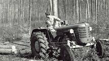 Zetor 3011 při práci v lese po roce 1960.